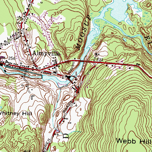 Topographic Map of Brunswick Dam, CT