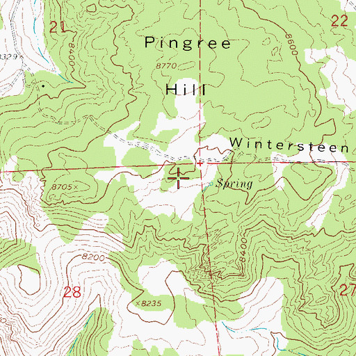Topographic Map of Pingree Hill, CO