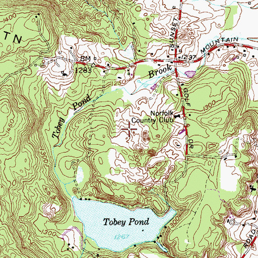 Topographic Map of Mathews Pond Dam, CT