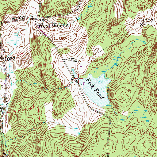 Topographic Map of Peck Pond Dam, CT