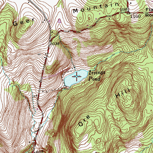Topographic Map of Irvings Pond, CT