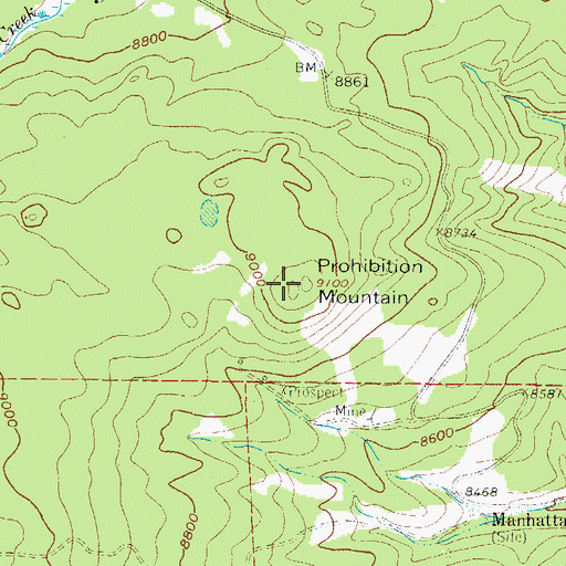 Topographic Map of Prohibition Mountain, CO