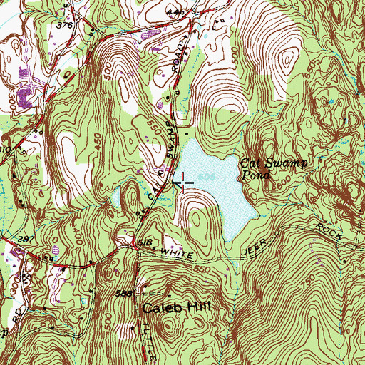 Topographic Map of Cat Swamp Pond Dam, CT
