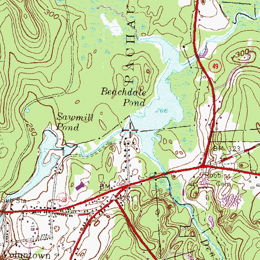 Topographic Map of Beachdale Pond Dam, CT