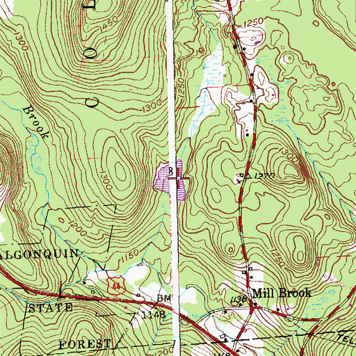 Topographic Map of Schwartz Pond, CT