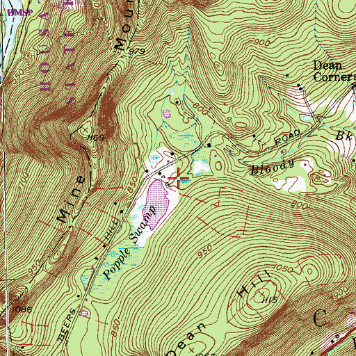 Topographic Map of Nash Pond Dam, CT
