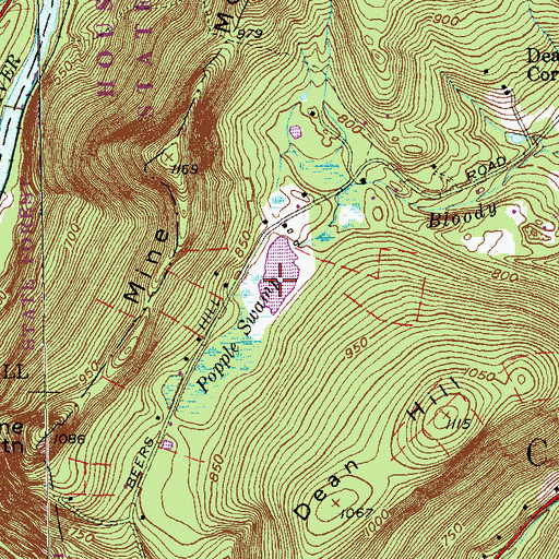 Topographic Map of Nash Pond, CT