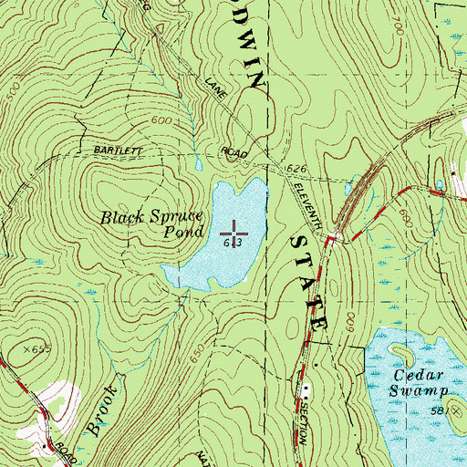 Topographic Map of Black Spruce Pond, CT