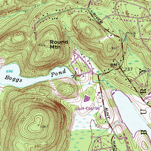 Topographic Map of Boggs Pond Dam, CT