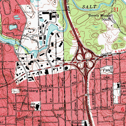 Topographic Map of Fullersburg, IL