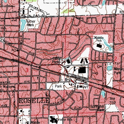 Topographic Map of Lion Park, IL
