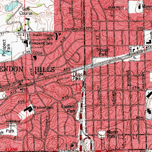 Topographic Map of Lions Park, IL