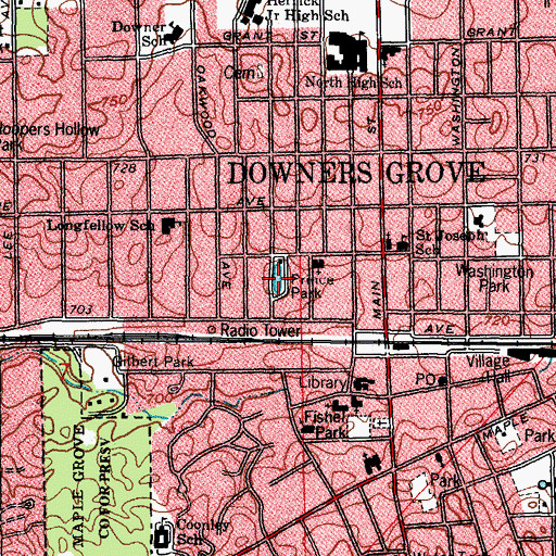 Topographic Map of Prince Lake, IL