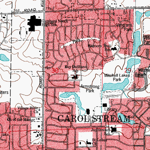 Topographic Map of Roy De Shane Elementary School, IL