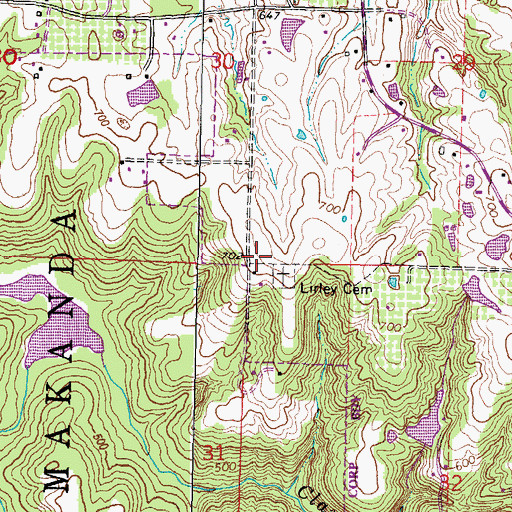 Topographic Map of Buncombe School (historical), IL