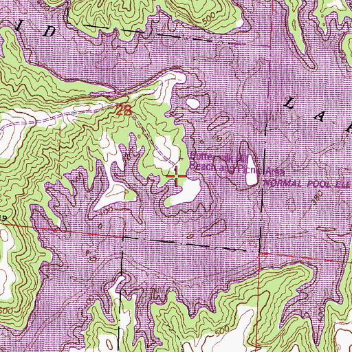 Topographic Map of Buttermilk Hill Beach and Picnic Area, IL