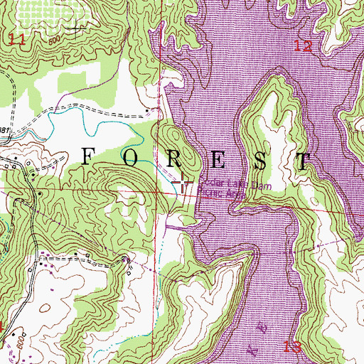 Topographic Map of Cedar Lake Dam Picnic Area, IL