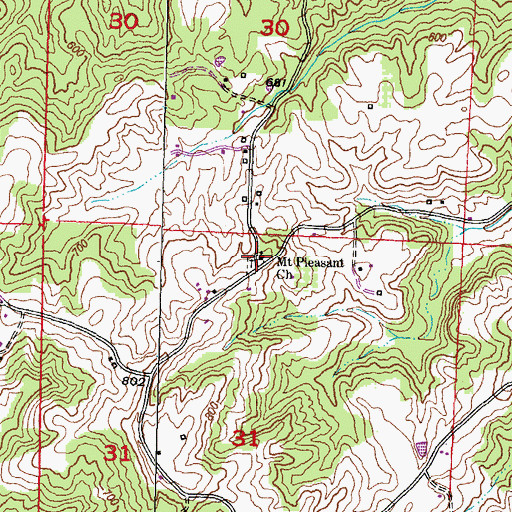 Topographic Map of Mount Pleasant Church, IL