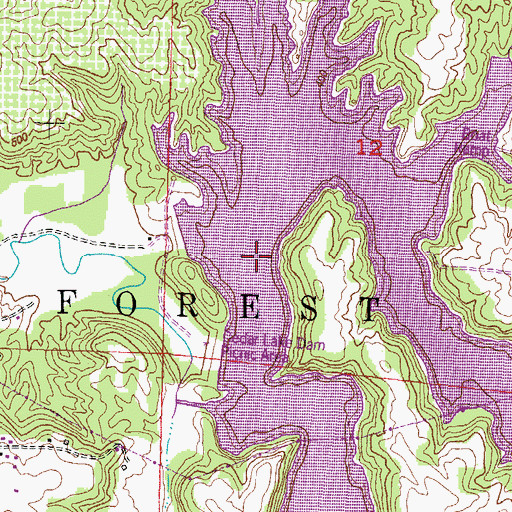 Topographic Map of Poplar Camp Creek, IL