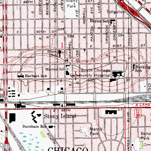 Topographic Map of Stony Island Ridge, IL