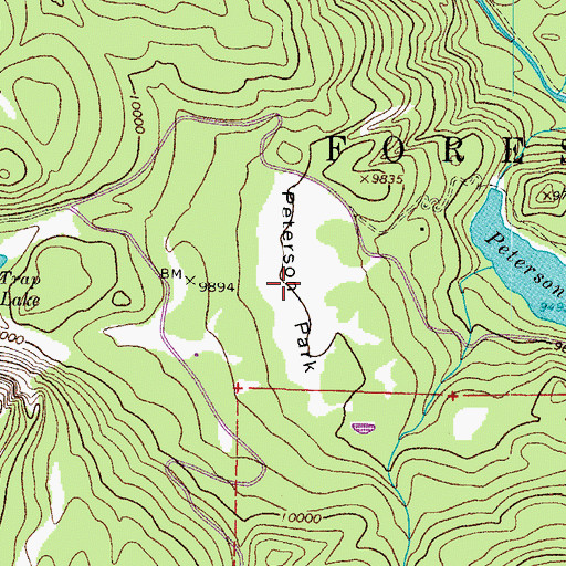 Topographic Map of Peterson Park, CO