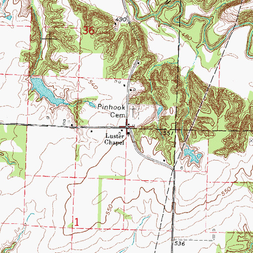 Topographic Map of Pinhook (historical), IL