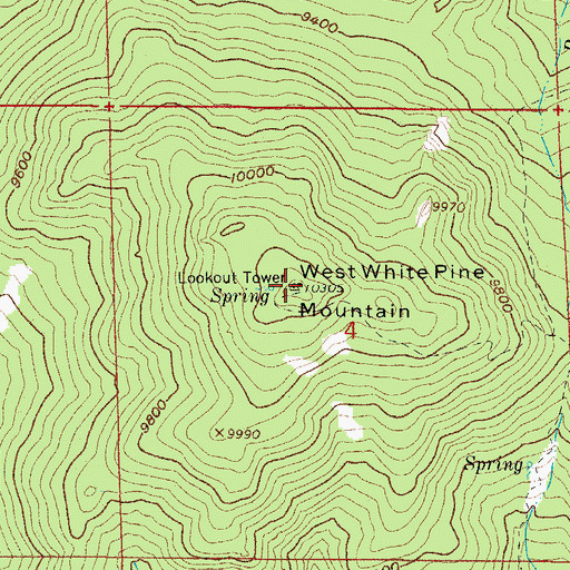 Topographic Map of West White Pine Mountain, CO