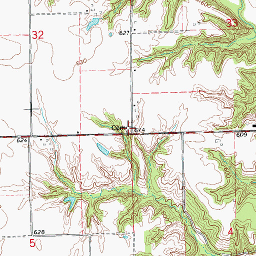 Topographic Map of Barnes Cemetery, IL