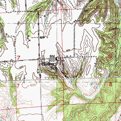 Topographic Map of Hickory Cemetery, IL