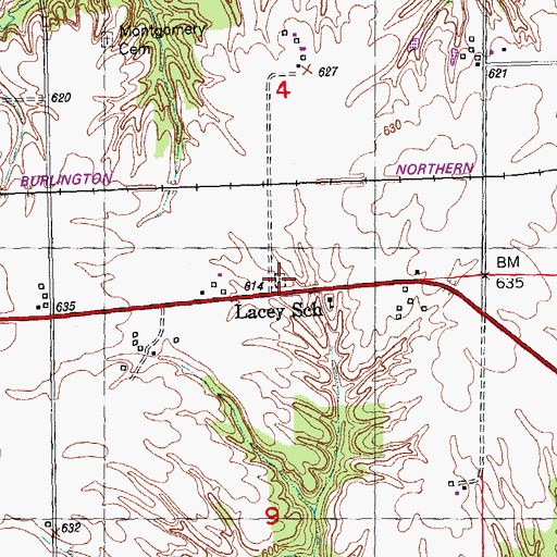 Topographic Map of Lacey Cemetery, IL