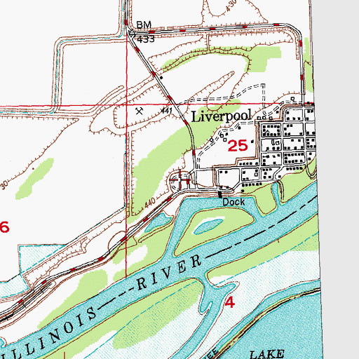 Topographic Map of Liverpool Cemetery, IL