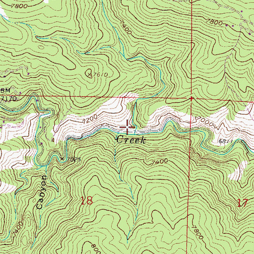 Topographic Map of Twin Cabin Gulch, CO
