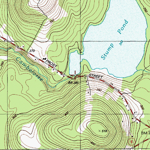 Topographic Map of Snag Pond Dam, ME