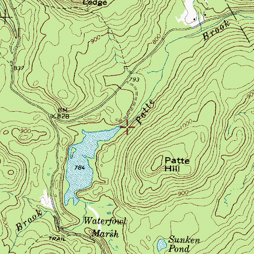 Topographic Map of Patte Brook Dam, ME