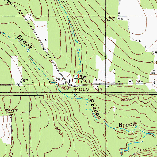 Topographic Map of Peasley Brook, ME