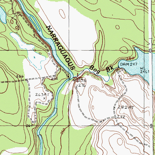 Topographic Map of Bog Brook, ME