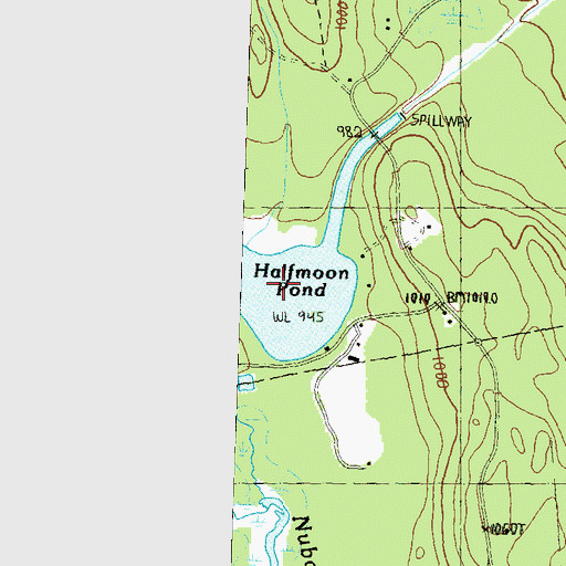 Topographic Map of Halfmoon Pond, NH