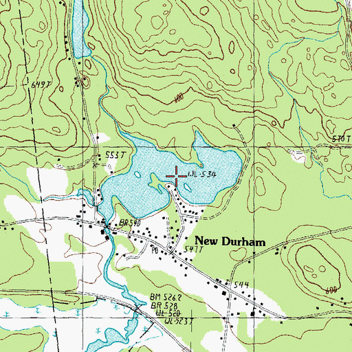 Topographic Map of Downing Pond, NH