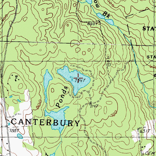 Topographic Map of Runaway Pond, NH