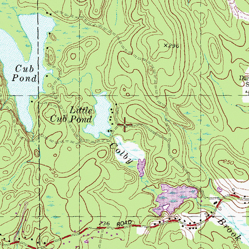 Topographic Map of Little Cub Pond Dam, NH