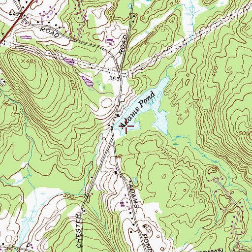 Topographic Map of Adams Pond Dam, NH