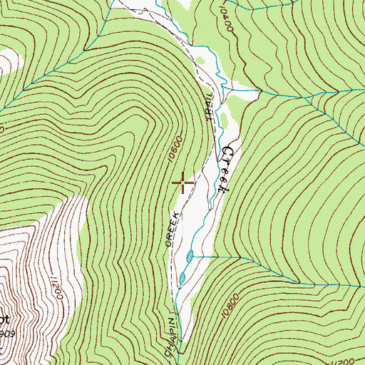 Topographic Map of Chapin Creek Trail, CO