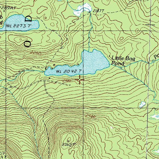Topographic Map of Little Bog Pond Dam, NH