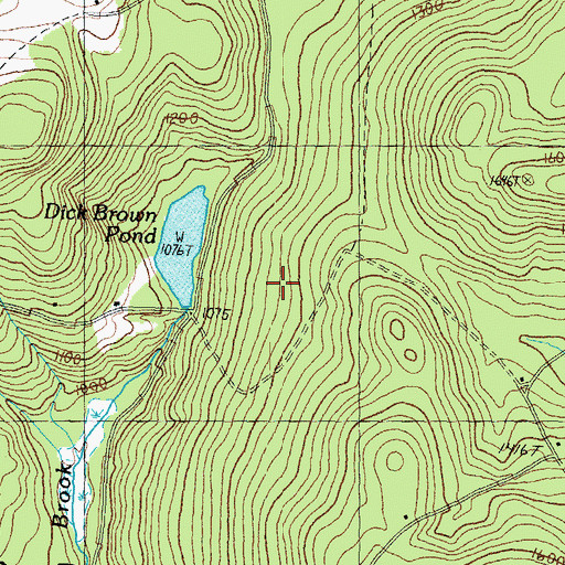 Topographic Map of Dick Brown Pond Dam, NH