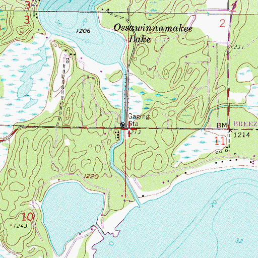 Topographic Map of Pelican Lake Dam, MN