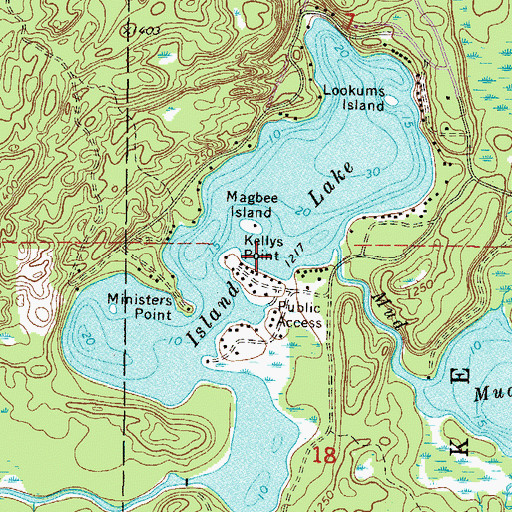 Topographic Map of Island Lake, MN