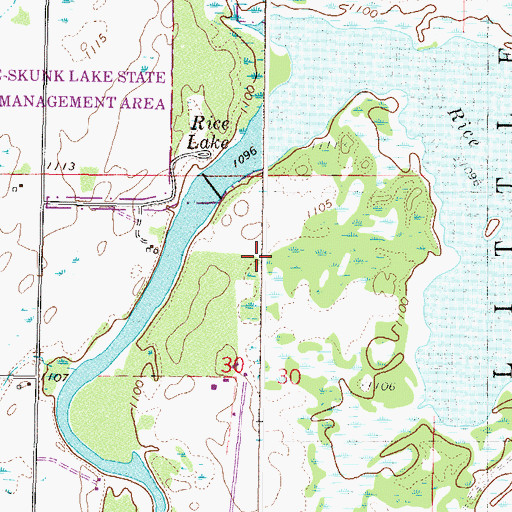 Topographic Map of Rice-Skunk Lakes, MN