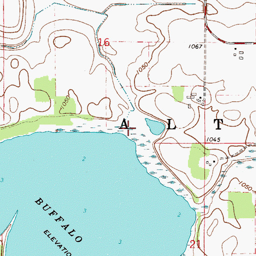 Topographic Map of Buffalo Lake, MN