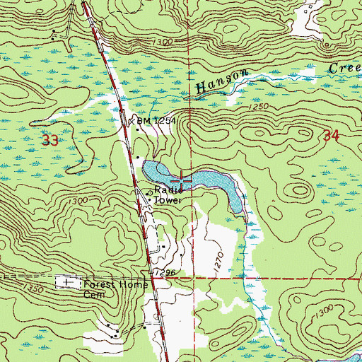 Topographic Map of Daniels Pond, MN