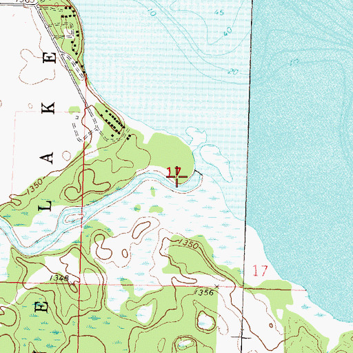 Topographic Map of Pine Lake, MN